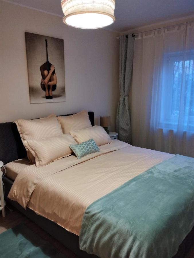 Апартаменти Central Lala Apartament Брашов Екстер'єр фото